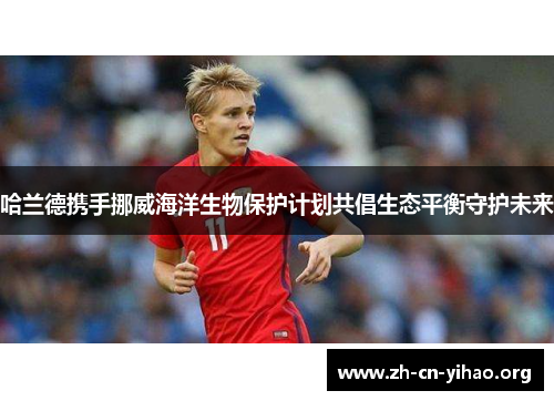 哈兰德携手挪威海洋生物保护计划共倡生态平衡守护未来