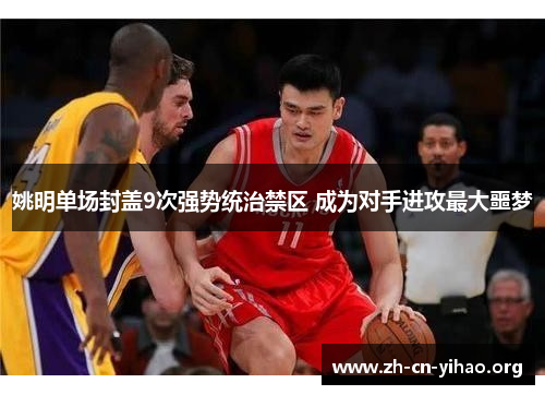 姚明单场封盖9次强势统治禁区 成为对手进攻最大噩梦 姚明单场封盖9次强势统治禁区 成为对手进攻最大噩梦