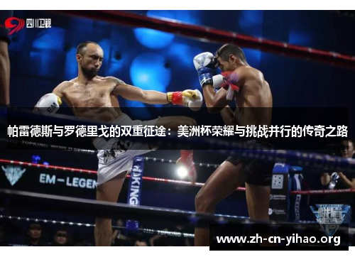 帕雷德斯与罗德里戈的双重征途:美洲杯荣耀与挑战并行的传奇之路 帕雷德斯与罗德里戈的双重征途:美洲杯荣耀与挑战并行的传奇之路