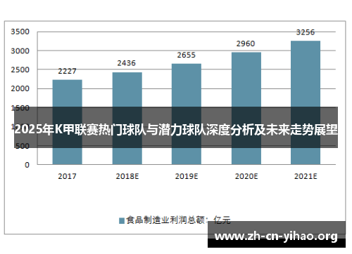 2025年K甲联赛热门球队与潜力球队深度分析及未来走势展望